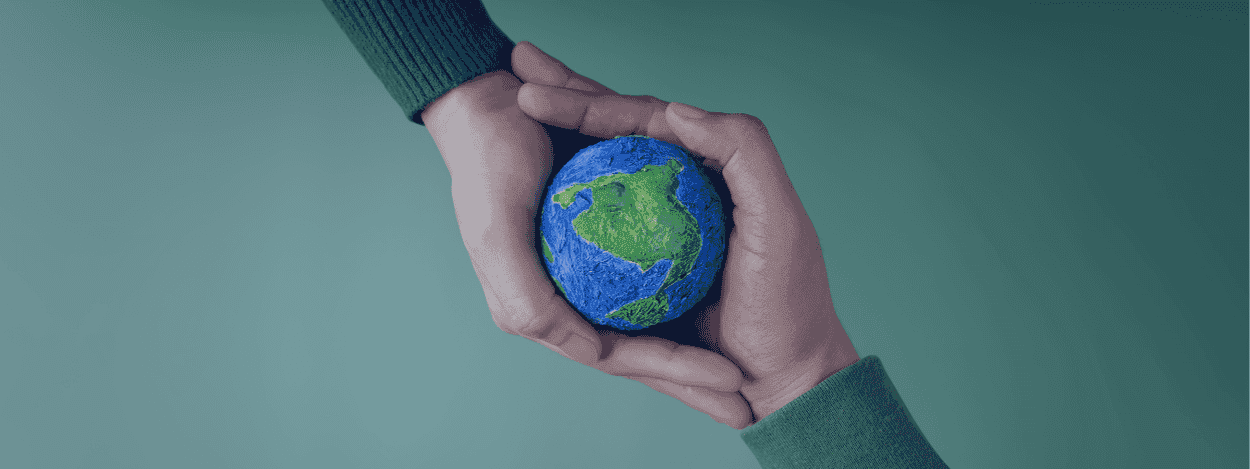 The Role of Sustainability in Enhancing Brand Reputation