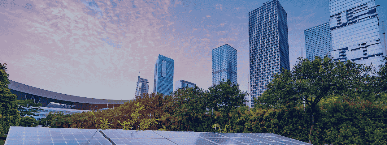 Importance of Sustainable Development Training in Today’s Corporate Landscape
